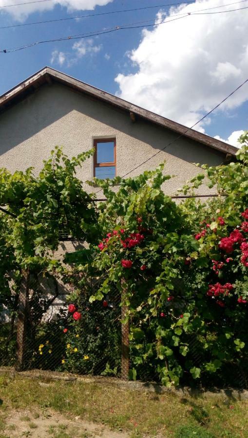 Къща Джулия Villa Сапарева Баня Екстериор снимка